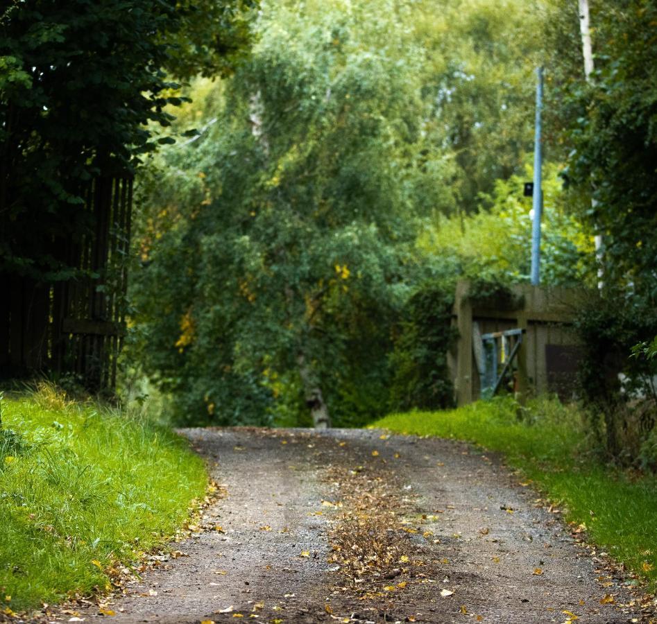 Hollins Farm - Dog Friendly, Self Catering Holiday Lodges Knaresborough Exterior photo